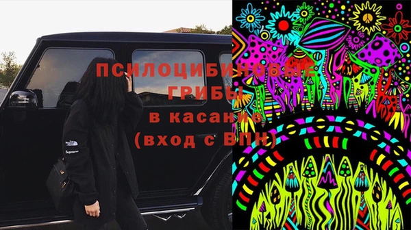 гашик Богородицк