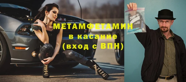 ПСИЛОЦИБИНОВЫЕ ГРИБЫ Богданович