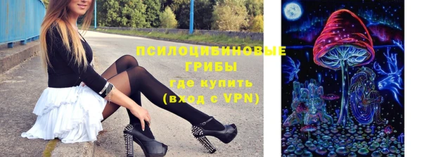 гидропоника Бородино