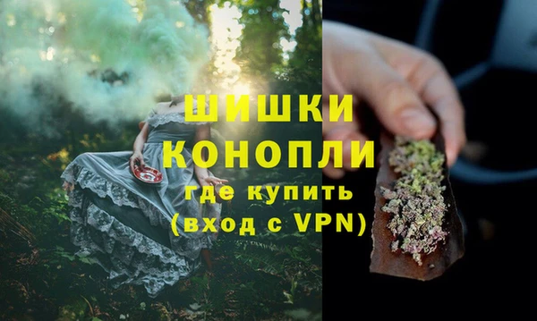 гашик Богородицк
