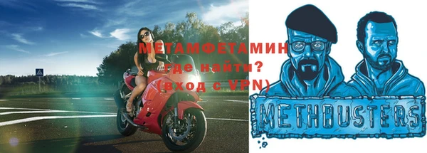 ПСИЛОЦИБИНОВЫЕ ГРИБЫ Богданович
