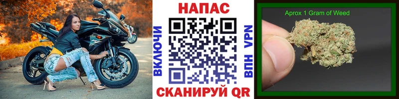 купить наркотик  Дигора  Конопля гибрид 